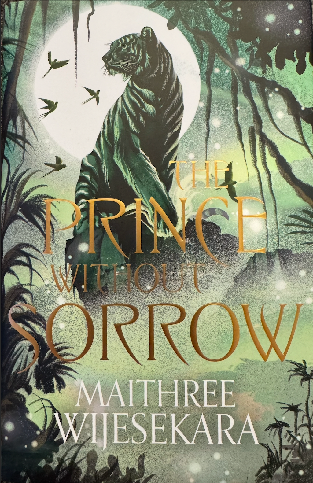 The Prince Without Sorrow (Obsidian Throne #1) - Maithree Wijesekara - Illumicrate Exclusive Signed Edition - Like New Condition